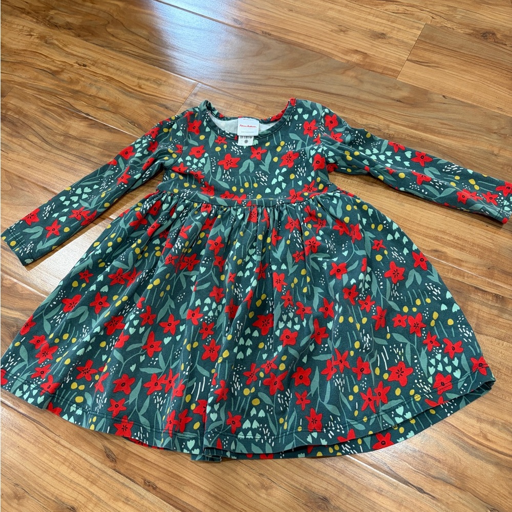 Hanna Andersson Green Dress with Red Floral Print